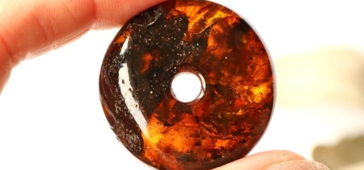 Cognac color amber doughnut pendant PD40 - Image 8